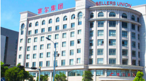 賽爾集團：數字化全速打造億級規模